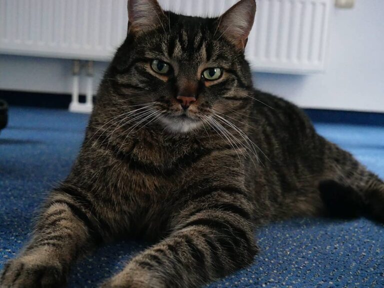 Have a great weekend everypawdy! – –