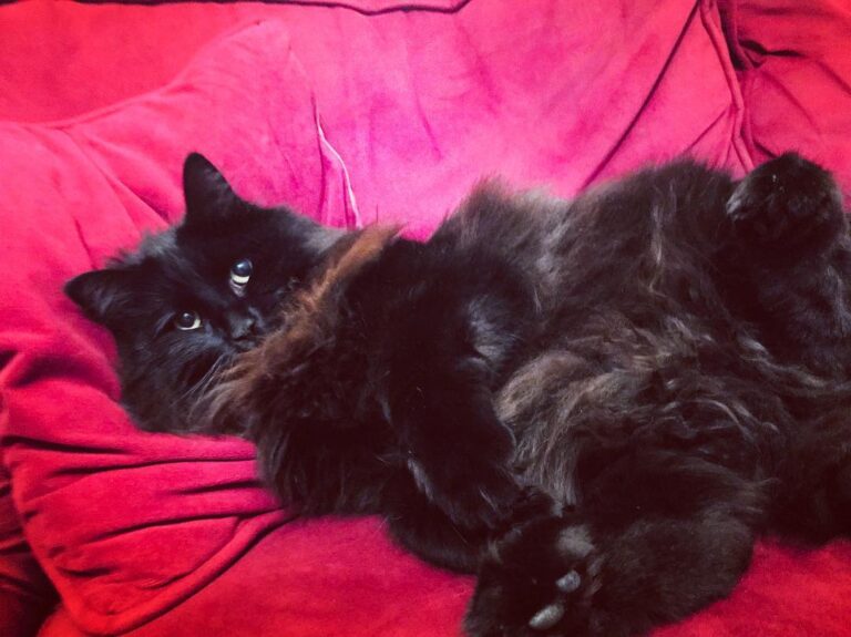 He knows that was my spot but nicked it all the same. He isn’t even
