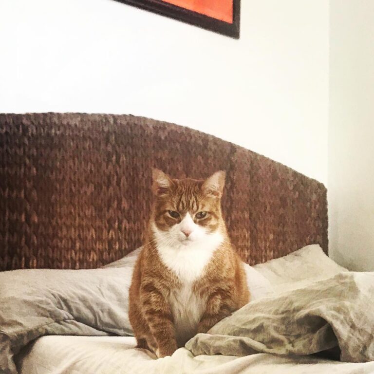 I call this one, “Paw-Paw is it dinner yet?”