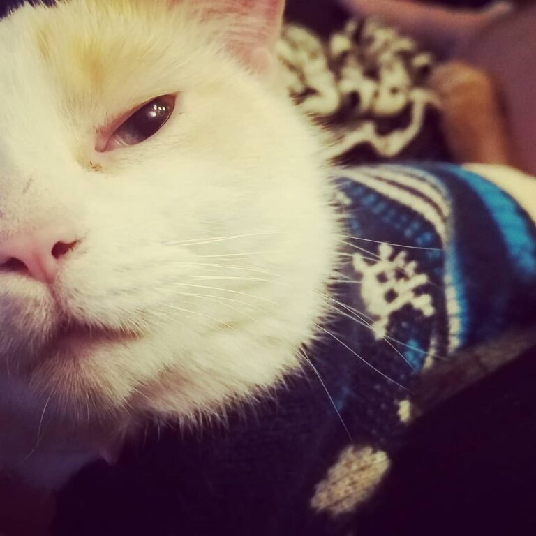 I know I look great in this sweater