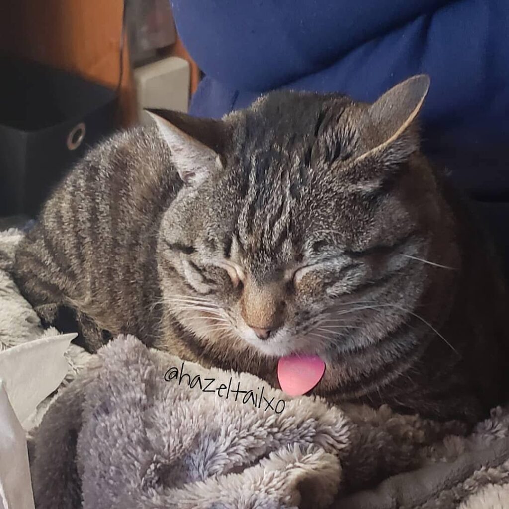 If I close my eyes I don’t have to deal with today