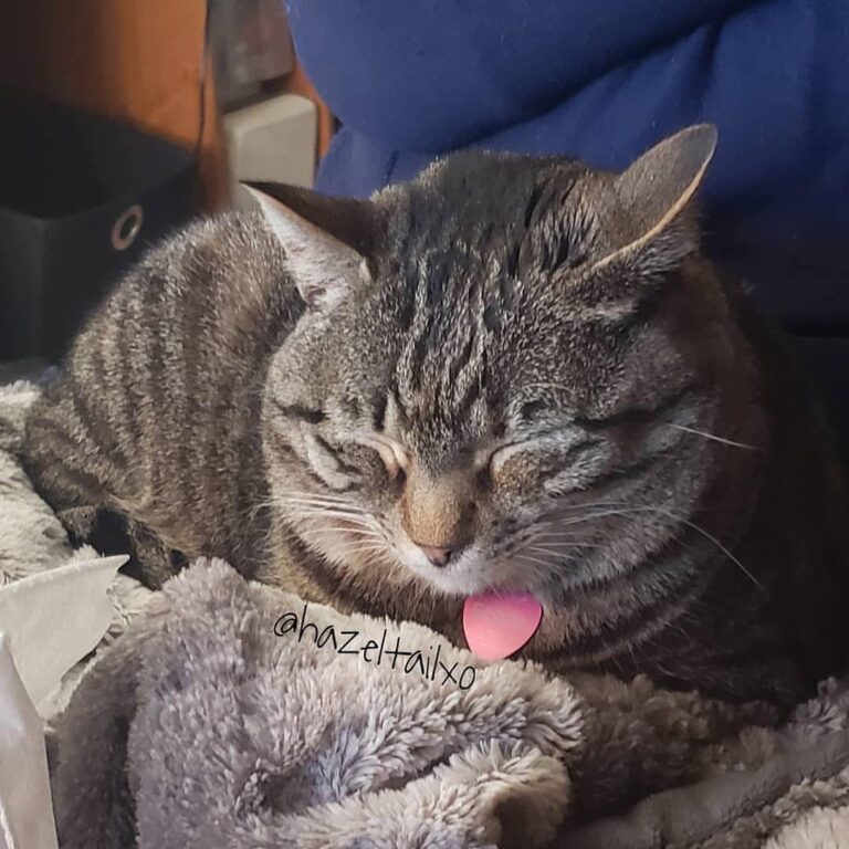 If I close my eyes I don’t have to deal with today