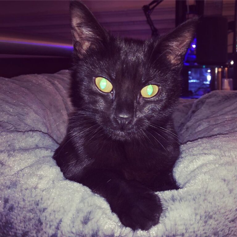 I’m fairly certain she knows she’s beautiful