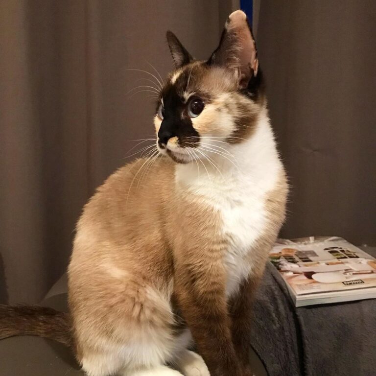 It’s my best profile