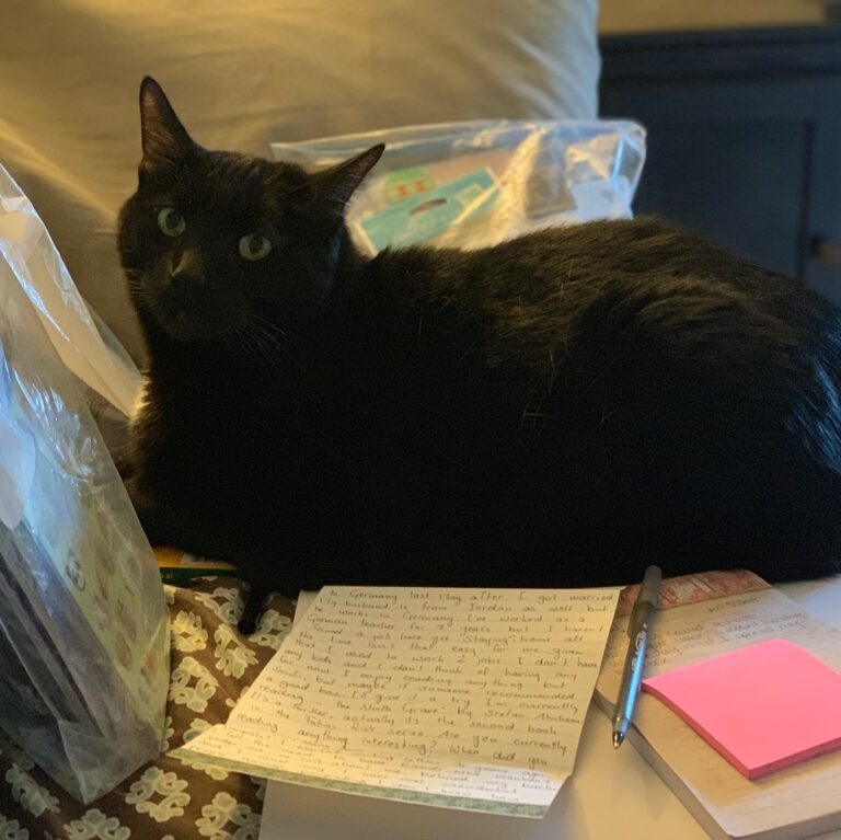 Little Man…the cat who gives NO fucks about personal space or what