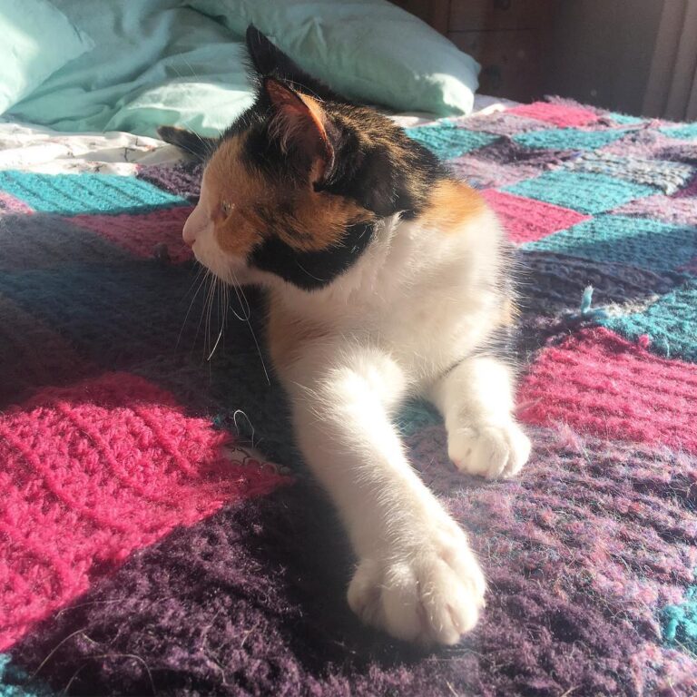 Look at my little fluffy toes