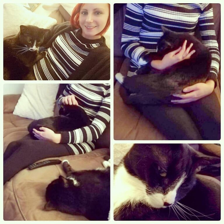 Lucky enough to have two kitty cuddles today, not bad for a cat who