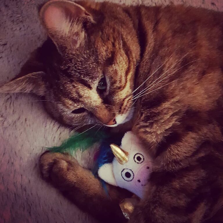 Luna and her derpy unicorn are inseparable