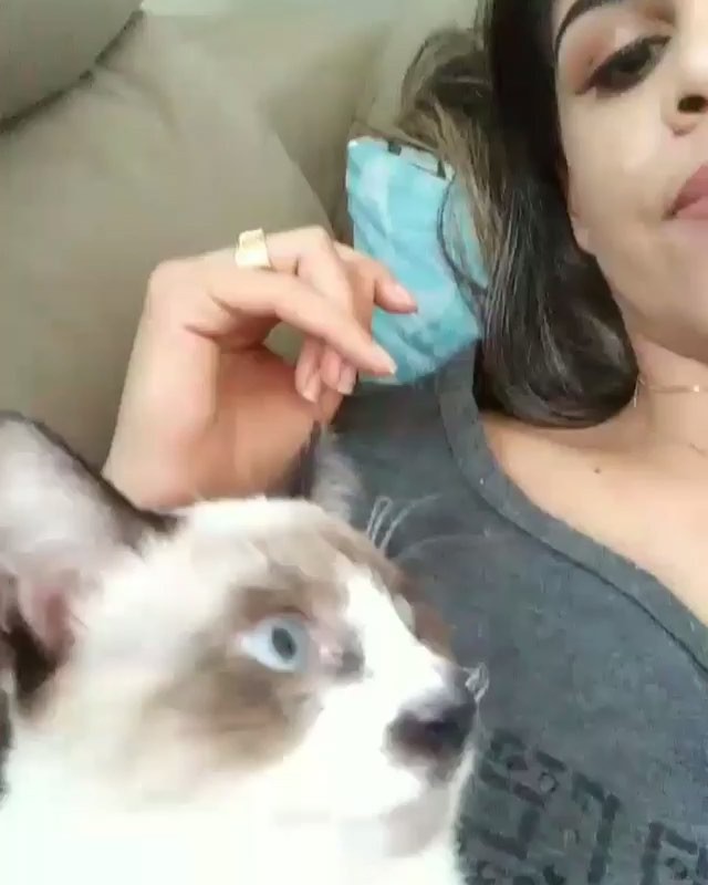 MOMENTO DO SEGUIDOR: Peluche veio aprontar um pouco na sua timeline –