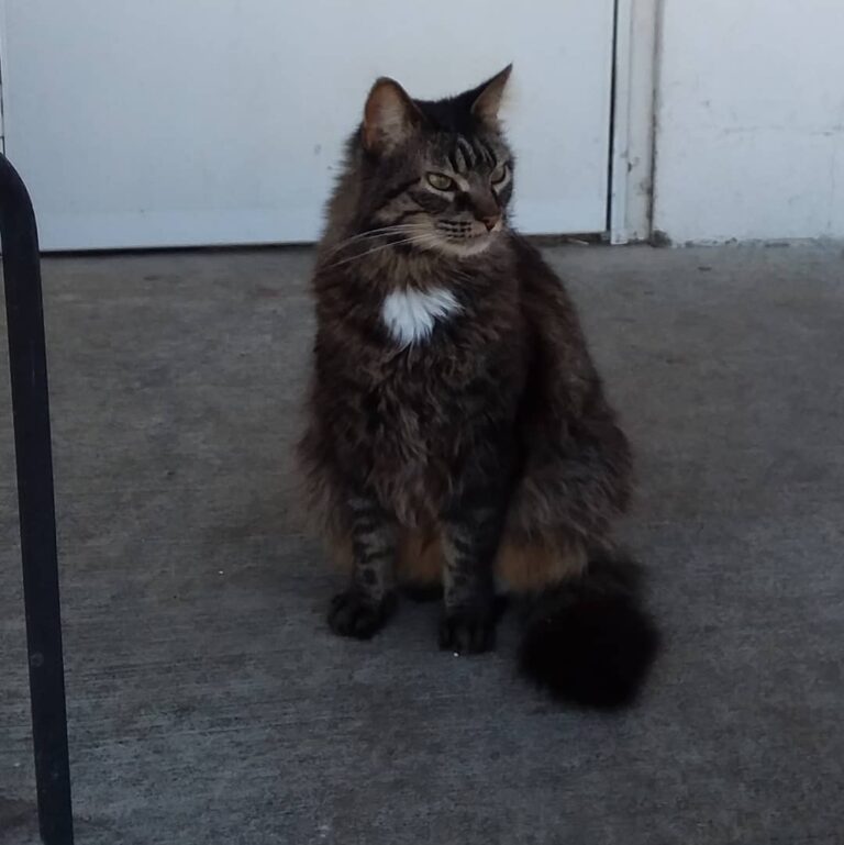 Malcolm on the porch today