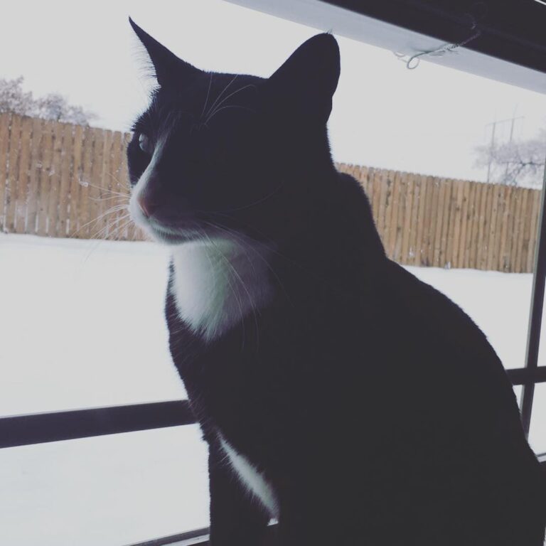 Mama took me out into the snow .