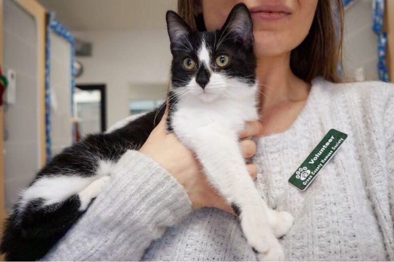 Meet Morgan! He is 3 months old, friendly, a bit shy, loves