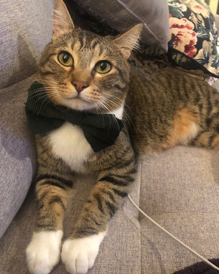“Mom, I wanna talk to you about this thing you’re doing when I start