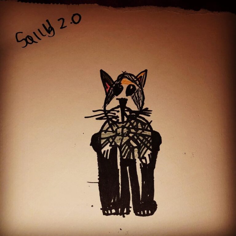 My Sally Cat as a warrior drawn by lovely Jacob