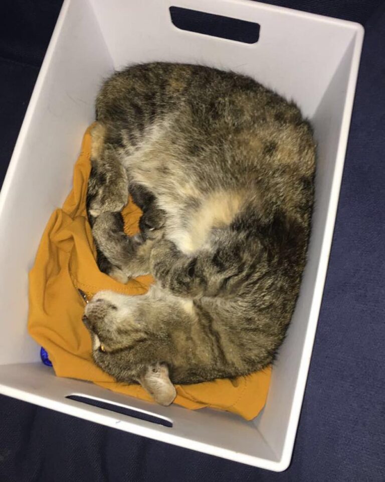 My favourite hiding spot!