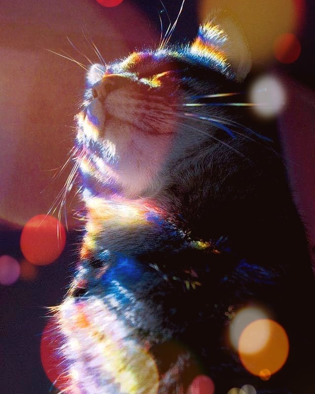My favourite photo for today