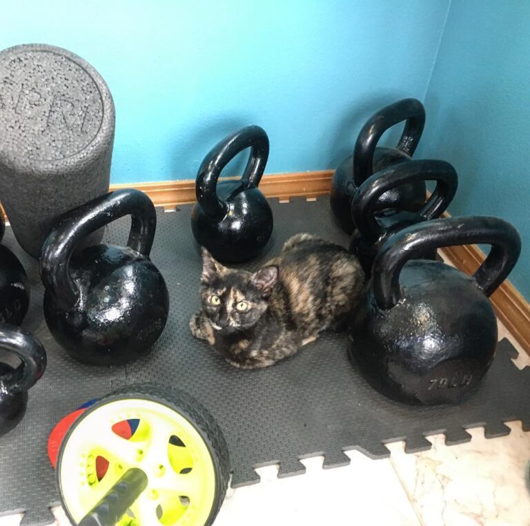 My young padawan watching my hang cleans today. . . .