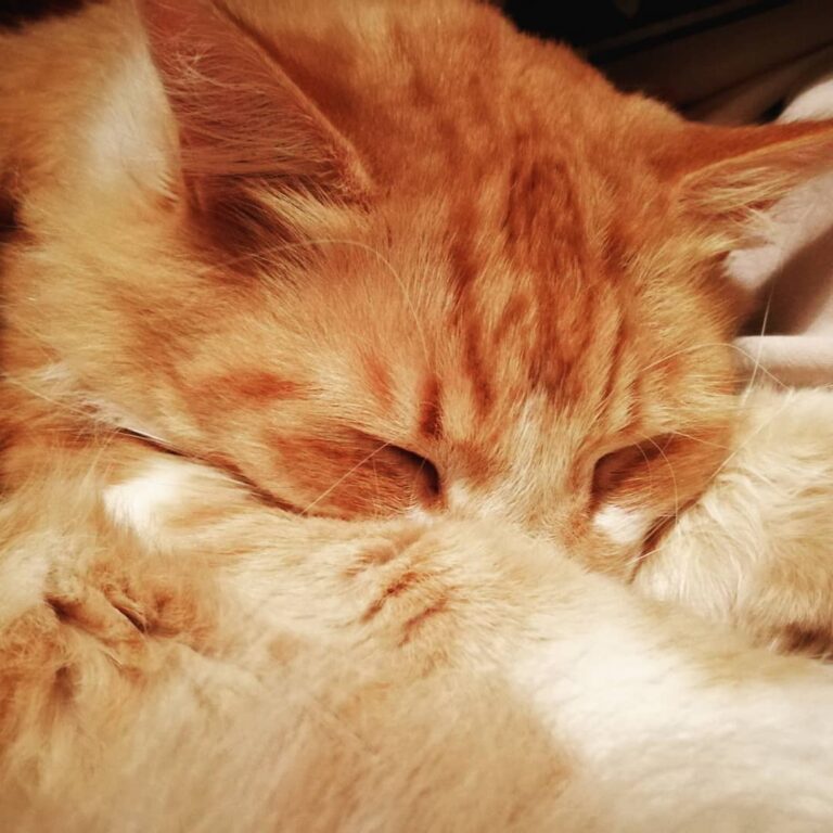 Night night everyone, sweet dreams