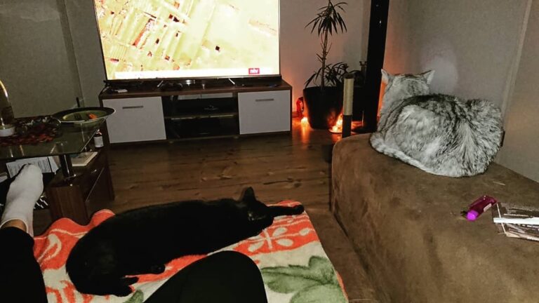 Perfekt saturday evening