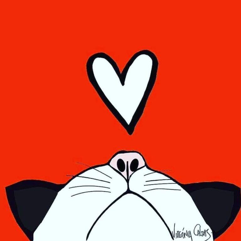 Pets espalham amor por onde vão. Deixe-se contagiar por essa energia!