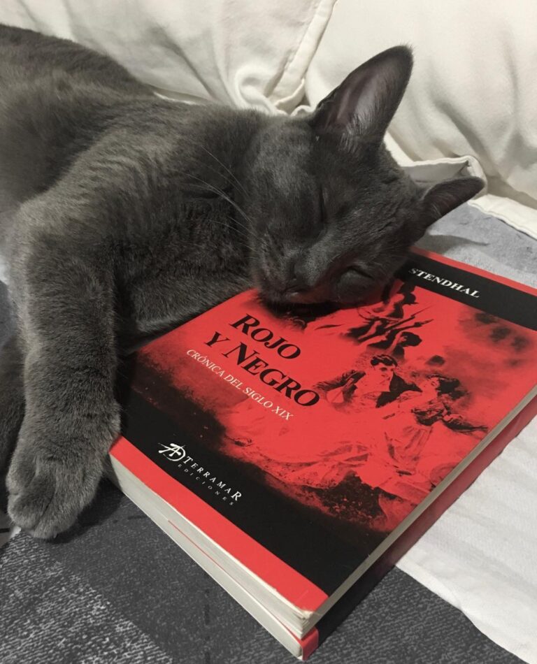 Raymond . . . &Books