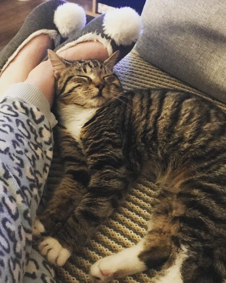 Saturday nights are for chilling