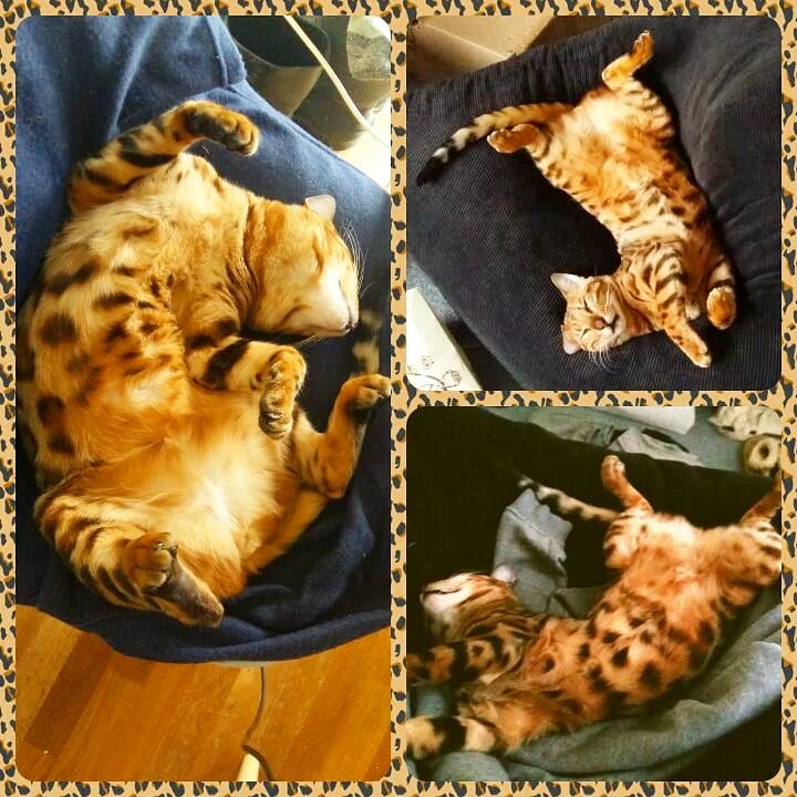 Showing off my belly