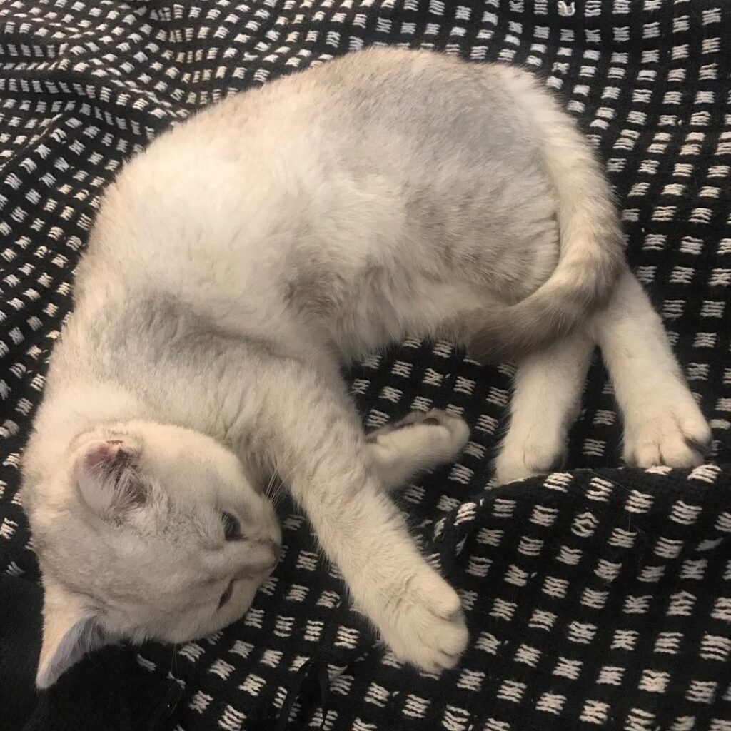 Sleeping