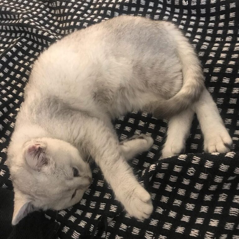 Sleeping