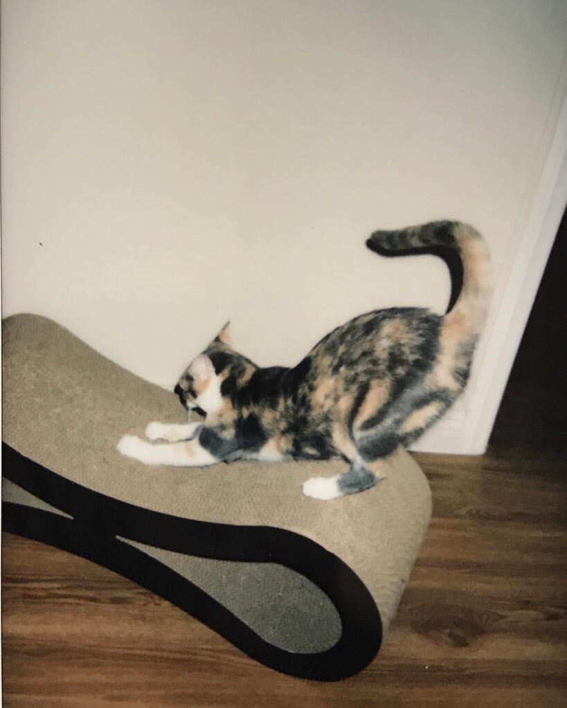 Stretchhh