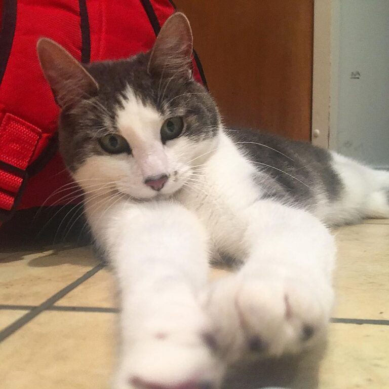 Stretching