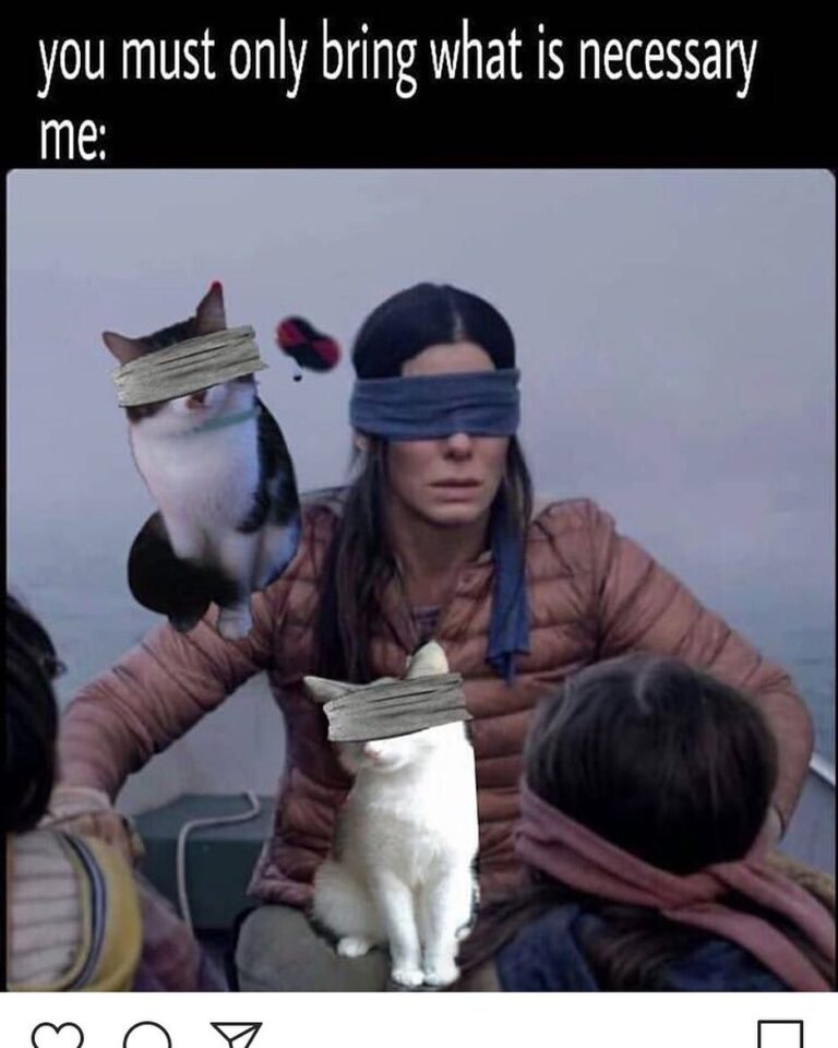 This is totally me!