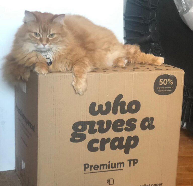 Thor doesn’t. Unless his claws are trimmed.