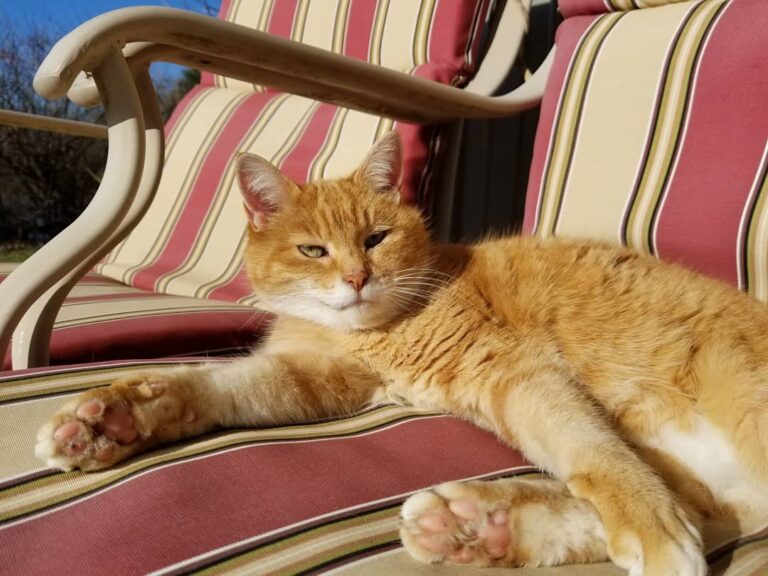 Today’s weather is 100% Butterscotch approved.