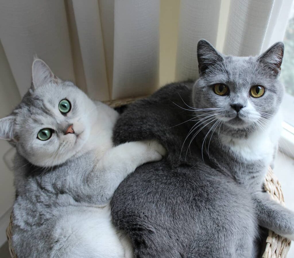 We slept all day… so we can pawty all night long … starting at 3am . .