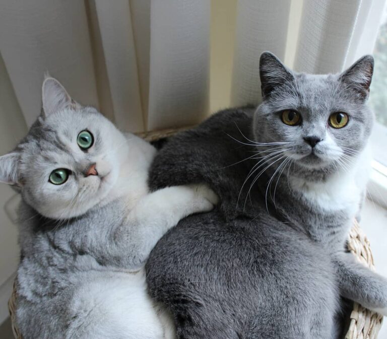 We slept all day… so we can pawty all night long … starting at 3am . .
