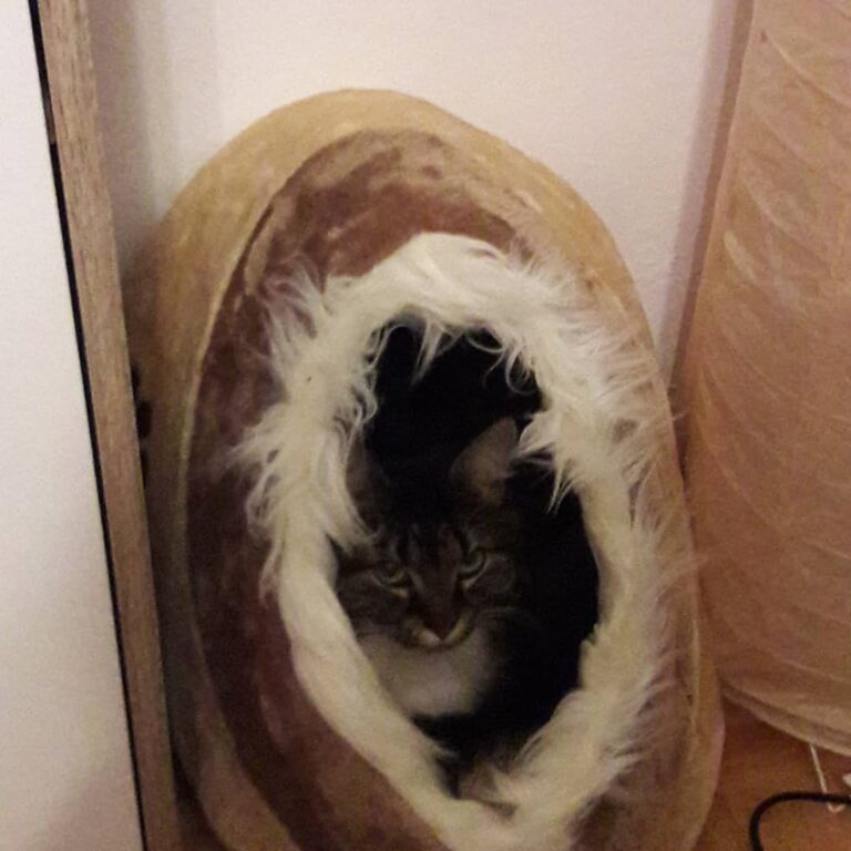 Weihnachtsgeschenk akzeptiert