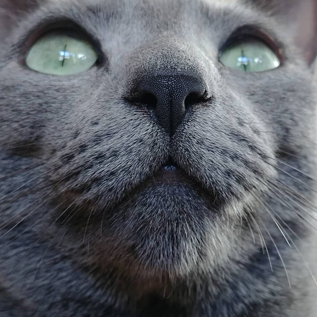 . . #