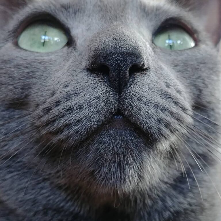 . . #