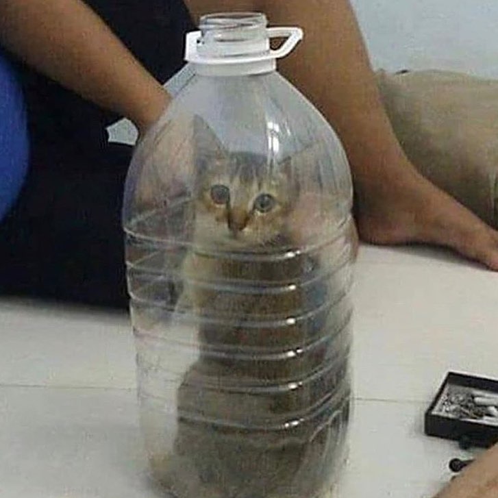 Help him . . .