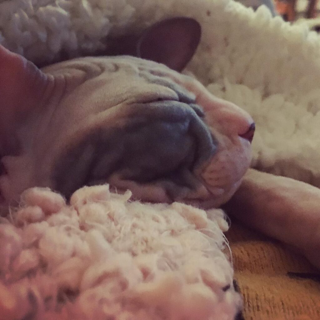 Cute Cat Moment