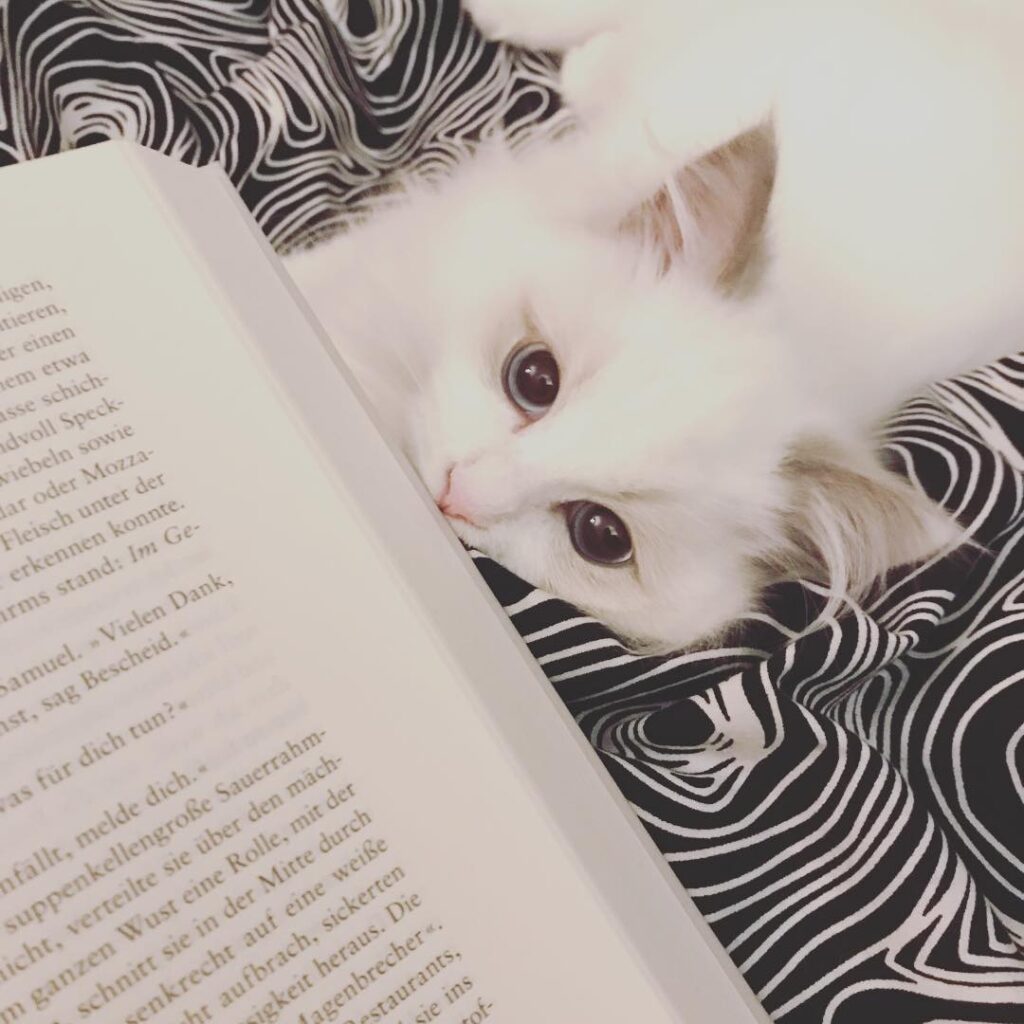 Perfect saturday