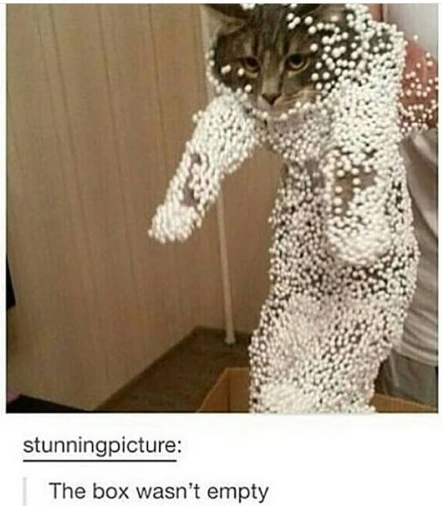 The box wasnt empty . . .