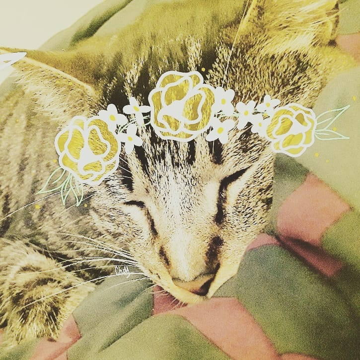 ♡Sleeping Prince
