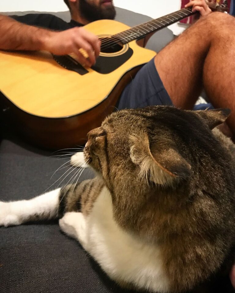 Annoying human making noise . . . .