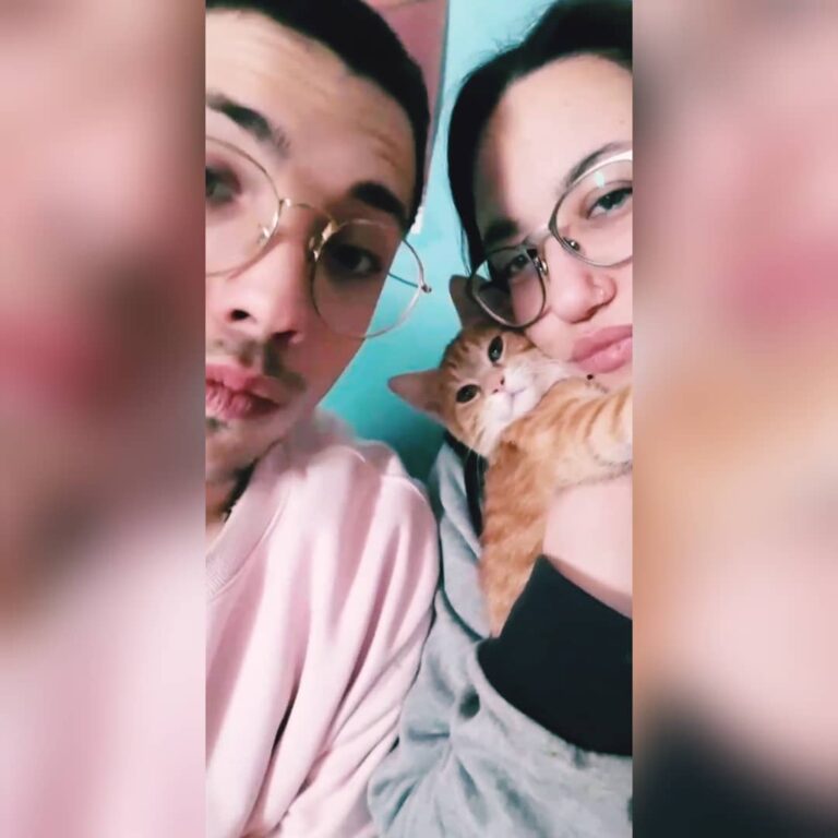 Cute Cat Moment