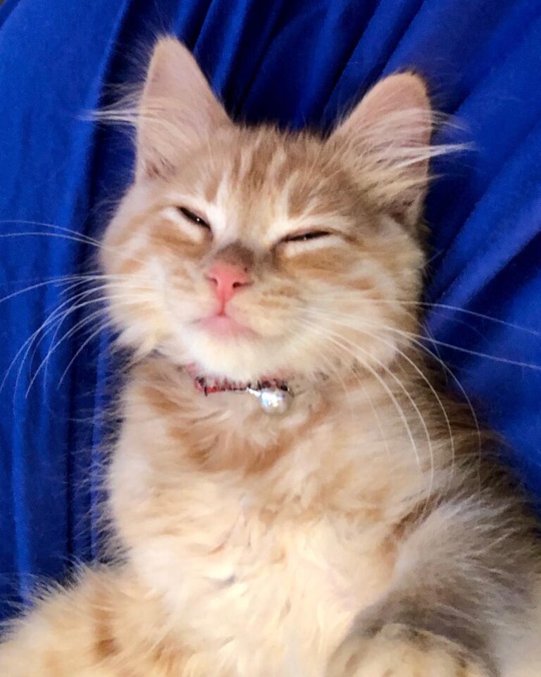 Baby Chili.