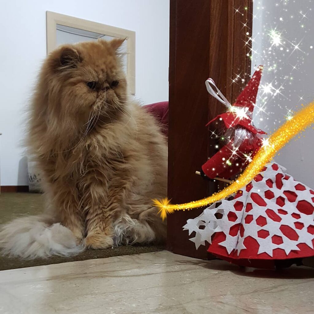 Befana has arrived, good Epiphany to everyone.. È arrivata la Befana,