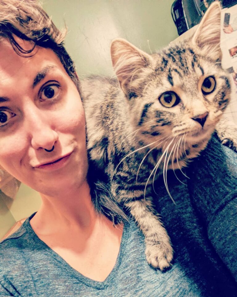 Bernie Sandwich. The coolest cat I know. • • •