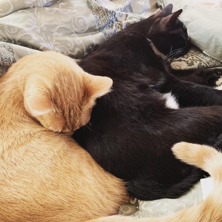 Big brother and best friends!